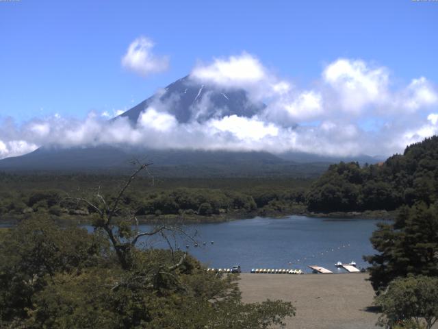 精進湖からの富士山