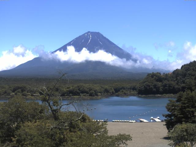 精進湖からの富士山
