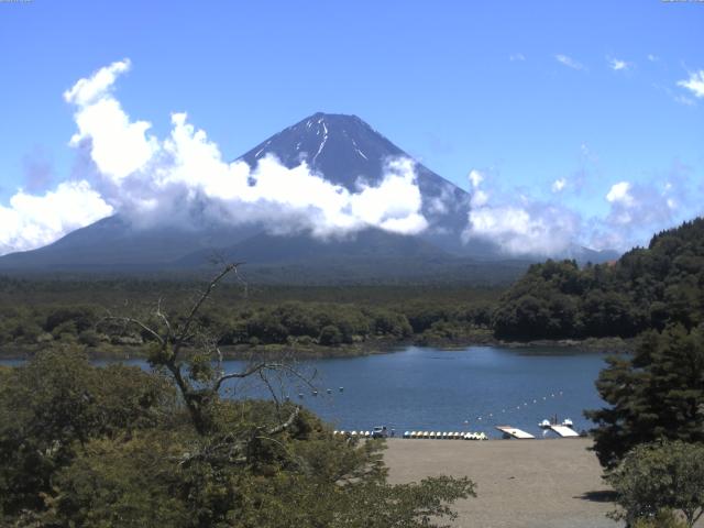 精進湖からの富士山