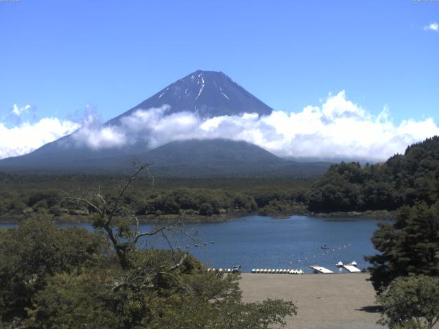精進湖からの富士山