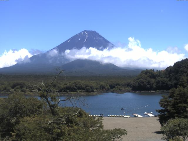 精進湖からの富士山