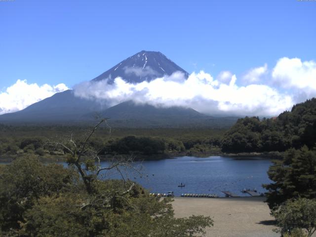 精進湖からの富士山