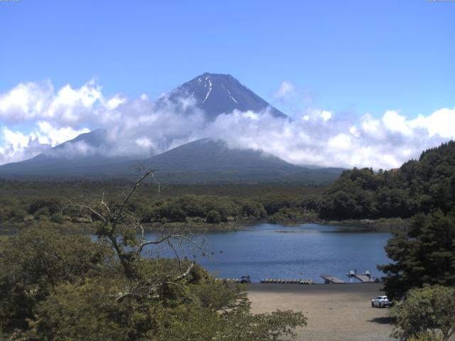 精進湖からの富士山