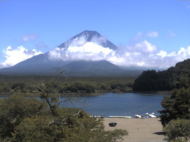 精進湖からの富士山