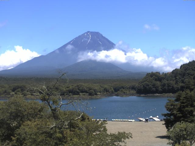 精進湖からの富士山