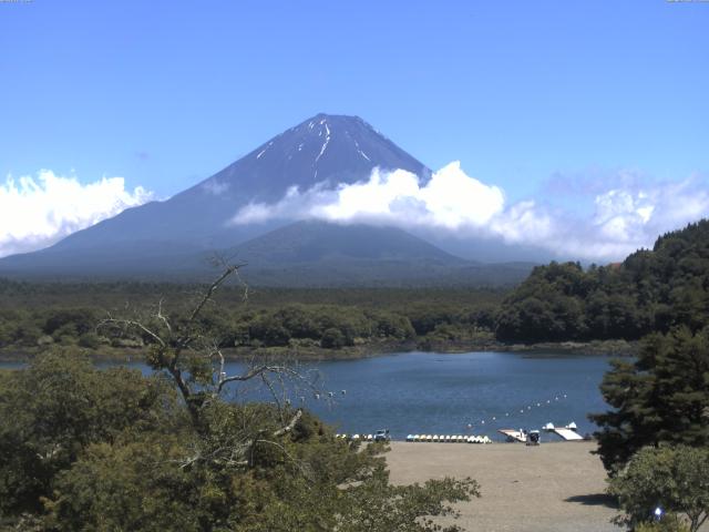 精進湖からの富士山