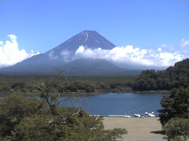 精進湖からの富士山