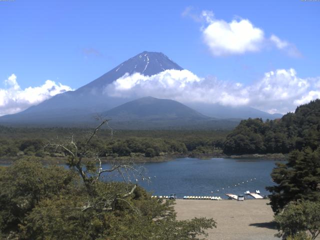 精進湖からの富士山