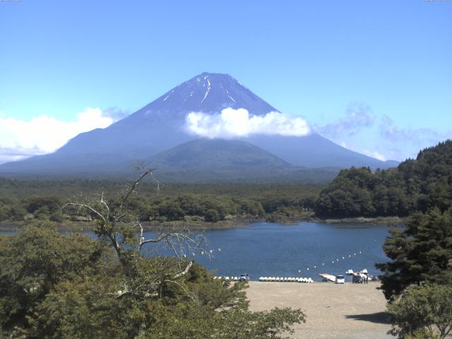 精進湖からの富士山