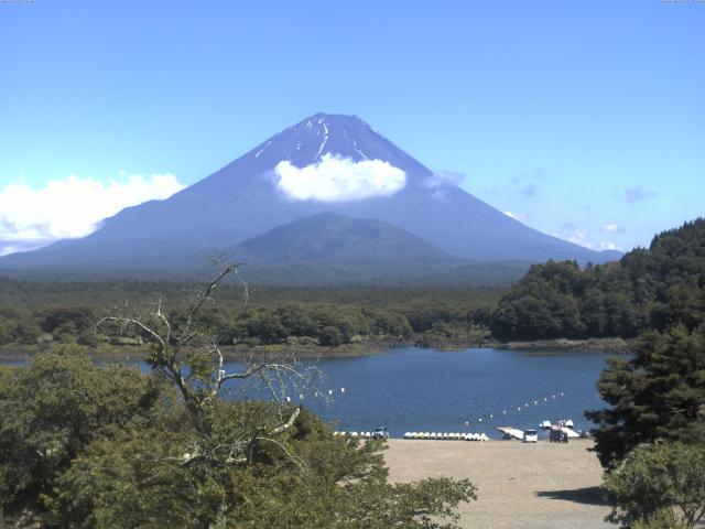 精進湖からの富士山