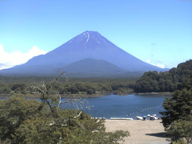 精進湖からの富士山