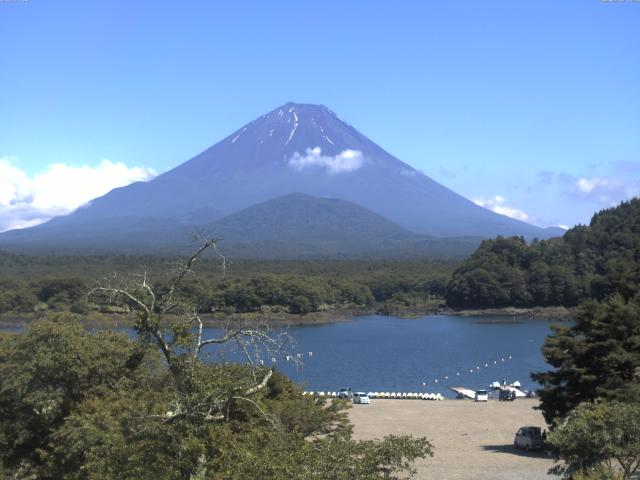 精進湖からの富士山