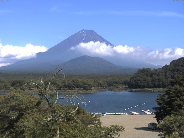 精進湖からの富士山