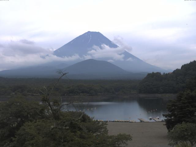 精進湖からの富士山