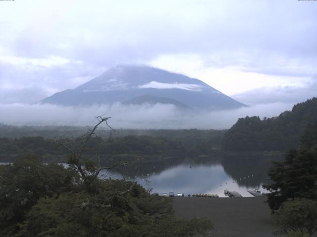 精進湖からの富士山