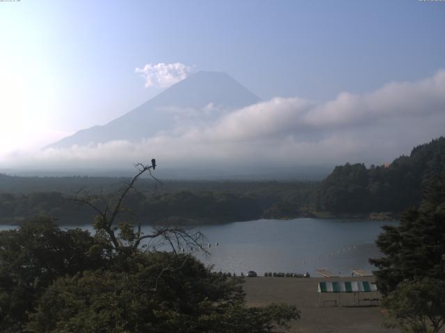 精進湖からの富士山