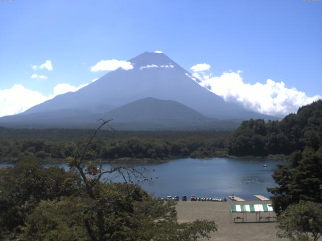 精進湖からの富士山