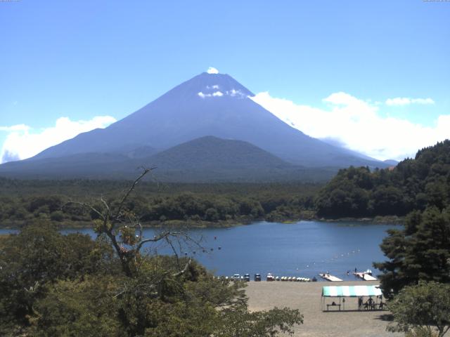 精進湖からの富士山
