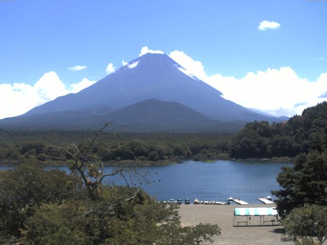 精進湖からの富士山