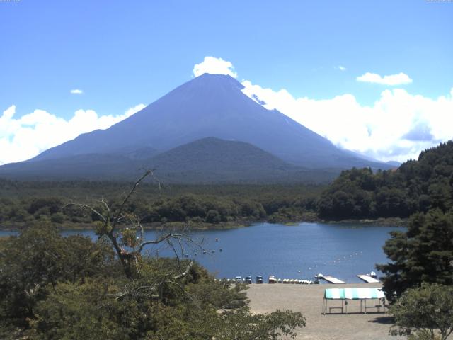 精進湖からの富士山