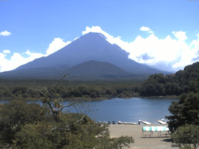 精進湖からの富士山