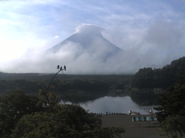 精進湖からの富士山