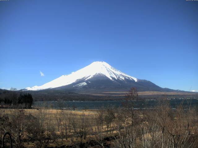 山中湖からの富士山