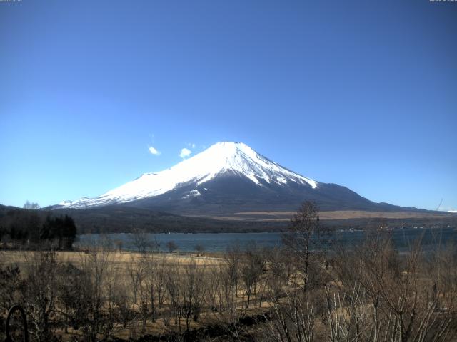 山中湖からの富士山