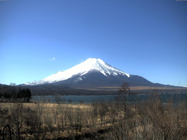 山中湖からの富士山