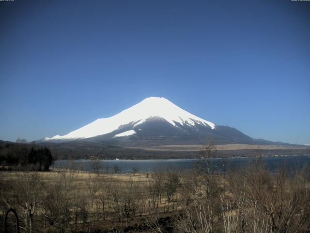 山中湖からの富士山