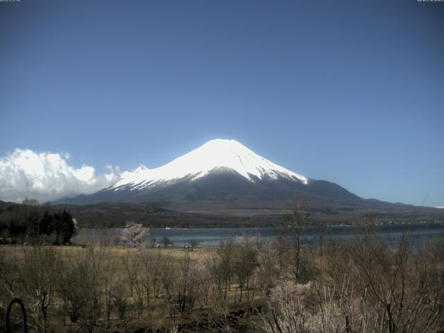 山中湖からの富士山