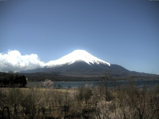 山中湖からの富士山