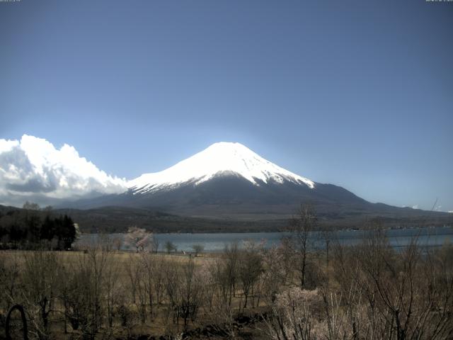 山中湖からの富士山