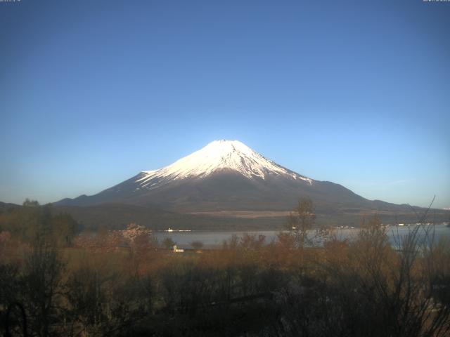 山中湖からの富士山