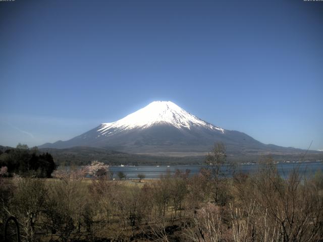 山中湖からの富士山
