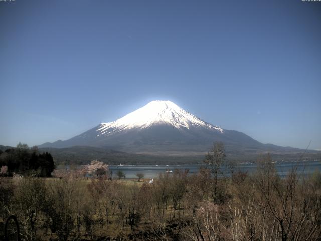 山中湖からの富士山