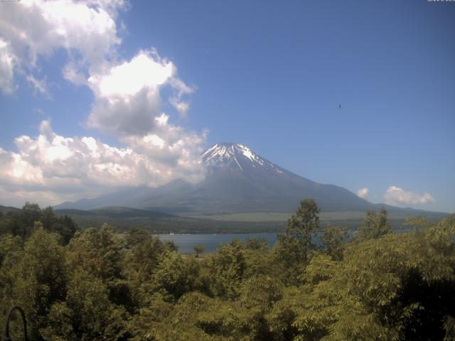 山中湖からの富士山