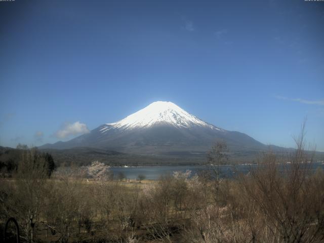 山中湖からの富士山