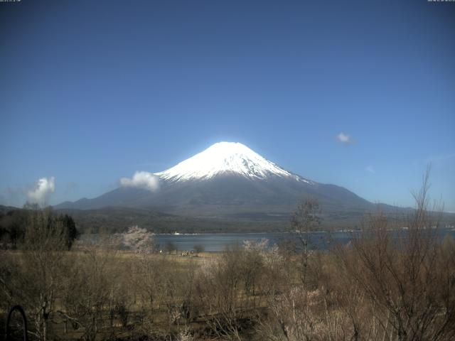 山中湖からの富士山
