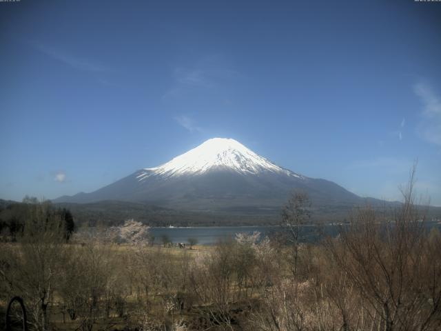 山中湖からの富士山