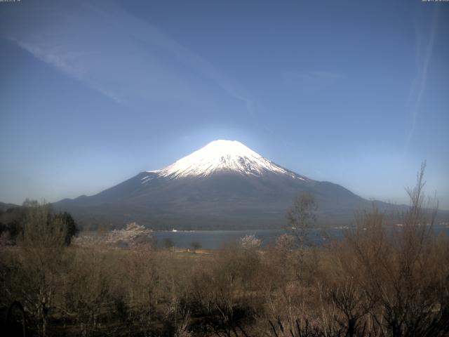 山中湖からの富士山