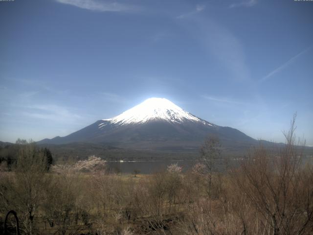 山中湖からの富士山