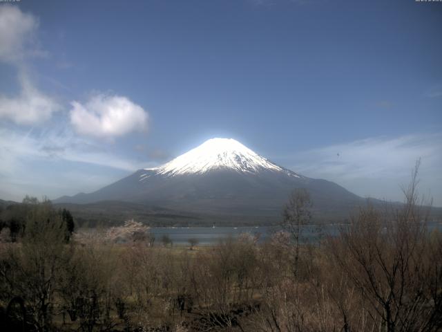 山中湖からの富士山