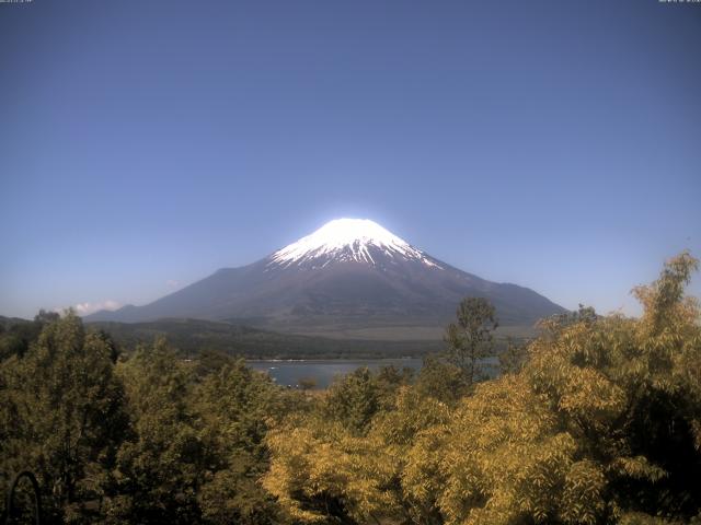 山中湖からの富士山