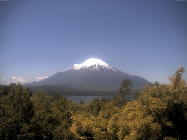 山中湖からの富士山
