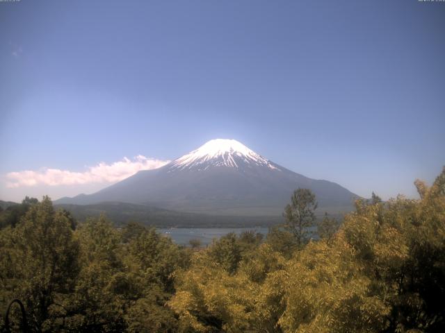 山中湖からの富士山