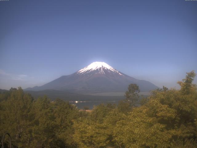 山中湖からの富士山