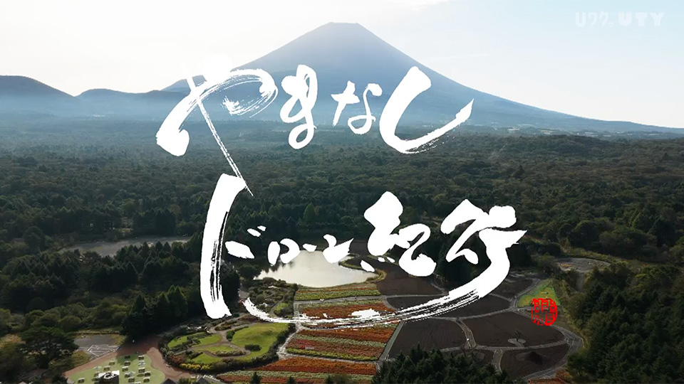 やまなしドローン紀行 #129　虹の花まつり