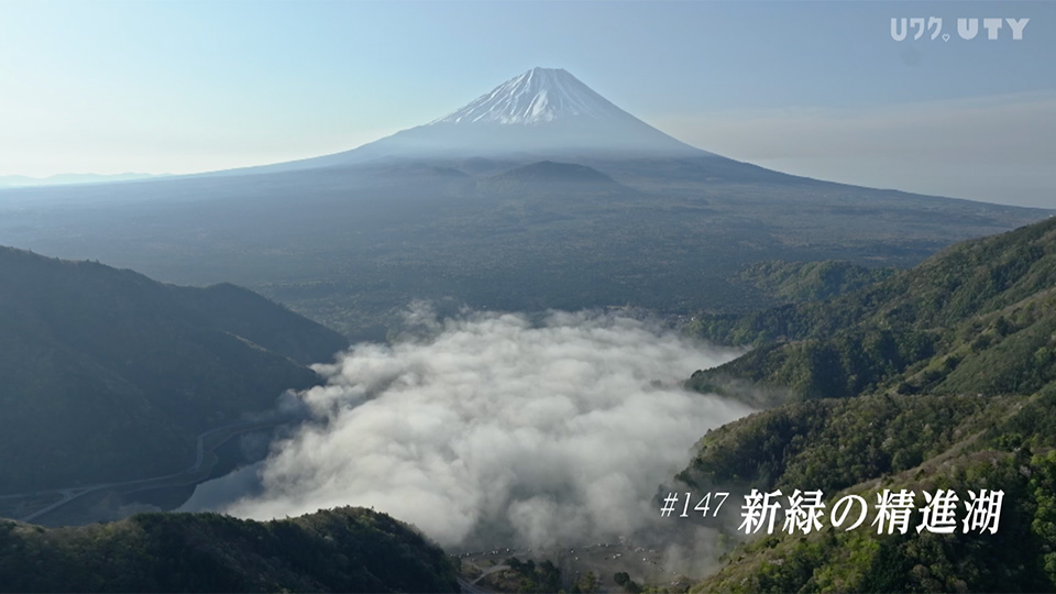 やまなしドローン紀行　冨嶽百景　 #147　新緑の精進湖