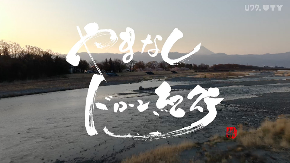 やまなしドローン紀行 #121　山梨の桜 Vol.3